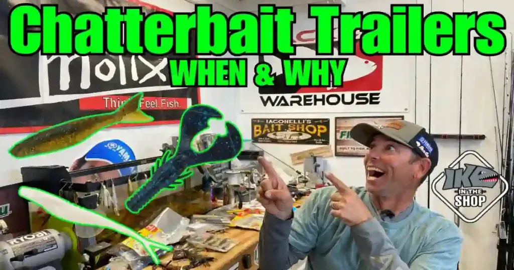 Chatterbait Content Creator Using Live Streaming For Audience Targeting And Growth
